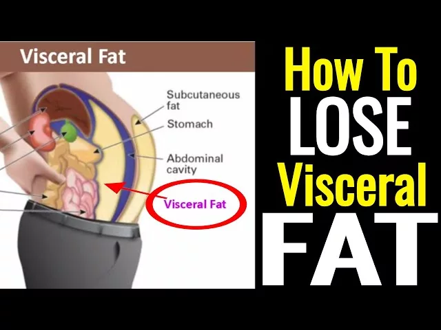 Visceral Fat